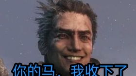 只狼,巅峰剑圣苇名一心,无伤