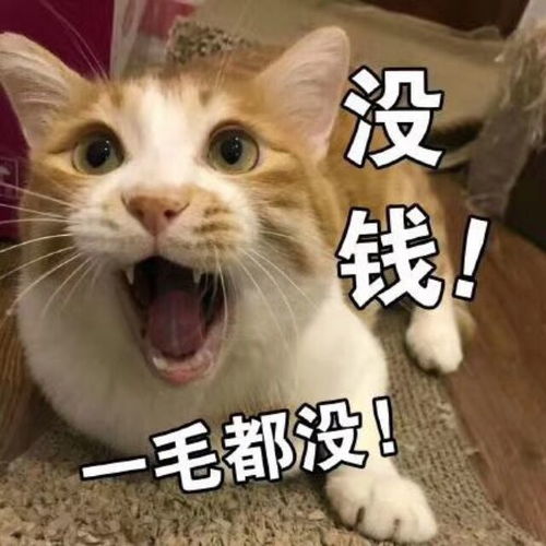 搞笑表情包拿图斗图吧
