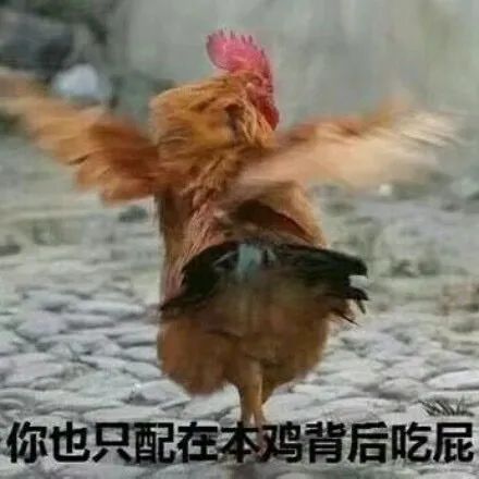 最新热门可爱搞笑的表情包图片大全