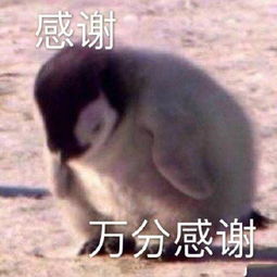 感谢搞笑表情包谢谢