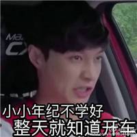 羊表情包搞笑图片qq表情包