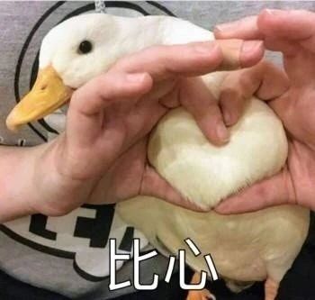搞笑表情包图片比心拳头硬了,我现在就让你认清自己