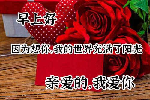 七夕情人节最漂亮早上好动态表情图片大全,早晨好动图美图大全