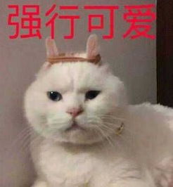 20张搞笑表情包,填充你的斗图库