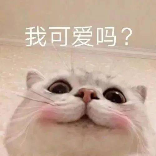 可爱仙女表情包亲亲这边建议你中意我一下