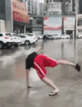 哈士奇图片搞笑表情搞笑gif