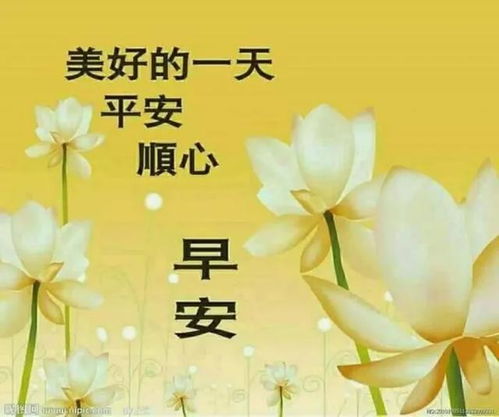 珍惜拥有,用心生活,坦然无悔,超越自己,和生命一起精彩,早安祸少