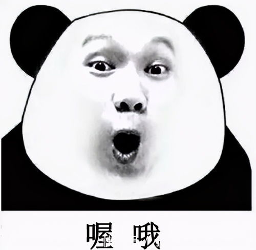 有毒现在的小说真敢编,无脑又搞笑的文案让人根本停不下来