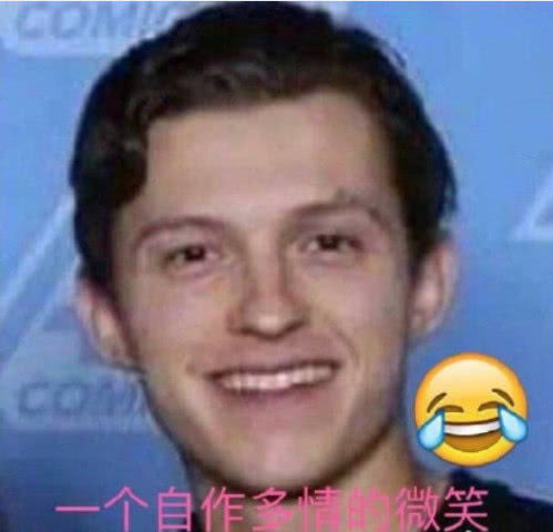 表情自作多情荷兰弟,在线cos表情包粉丝给荷兰弟发好人卡实锤表情