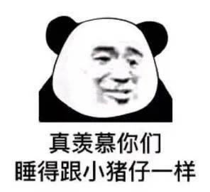 表情包我慕了,睡觉睡觉