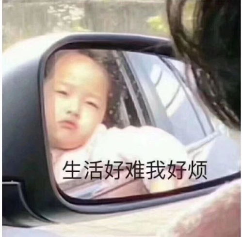 假装自己很合群,我太难了,最新搞笑表情包图片