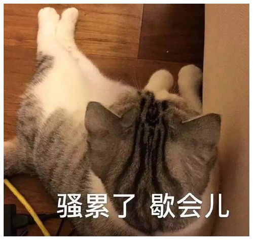 搞笑gif我就开了个柚子,他们为啥说我活该单身