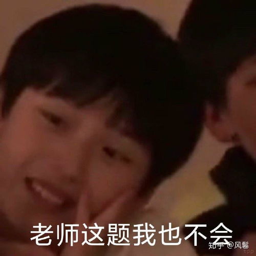 交作业使用的沙雕表情包有哪些