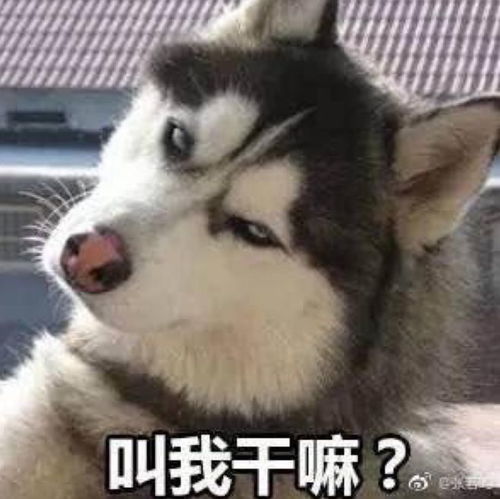 好好的车停在车库却被拆了车主查监控崩溃了,谁赔啊