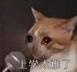 谁说考研就不能成为段子手