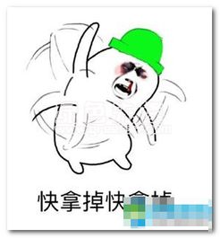 5月近期热门表情包最新搞笑qq表情包中文官方版软件下载