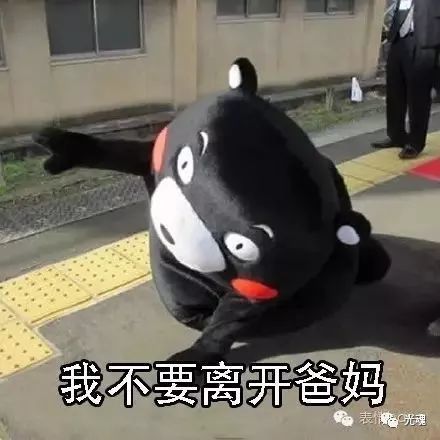打麻将搞笑表情包喝酒
