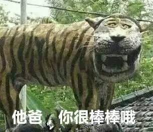 蜗牛快讯北京野生动物园老虎的外卖又到了......