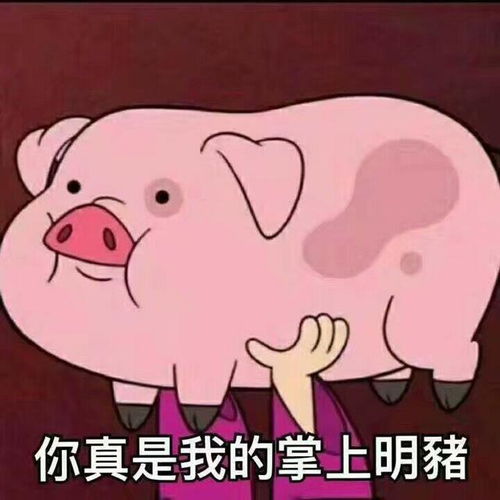 有哪些猪的搞笑图片或者表情包