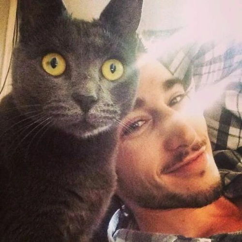 可爱情侣头像卡通猫咪男生