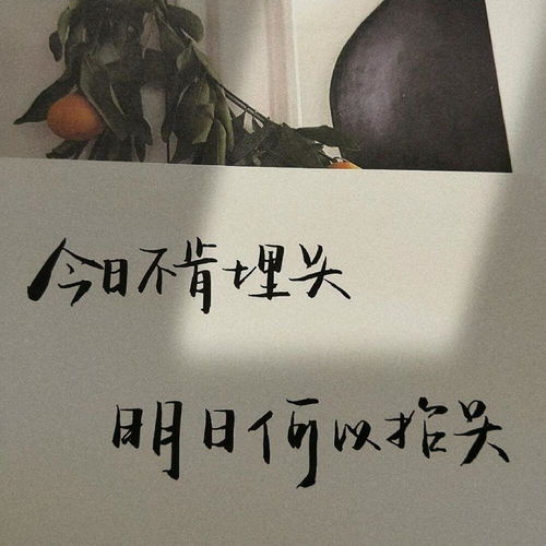 可以分享一些你认为很温柔或者很励志的句子吗