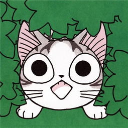 甜甜私房猫卡通头像可爱2018超萌的甜甜私房猫小奇头像图片