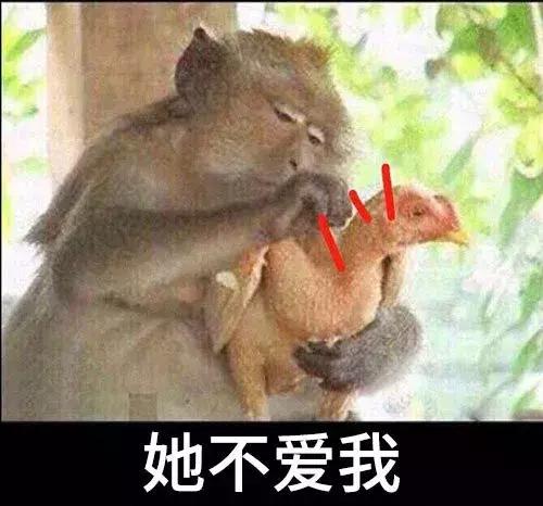 你不爱我了搞笑表情爱我
