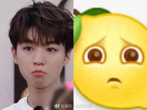 tfboys过年欢乐多,懵逼表情包成今日快乐源泉