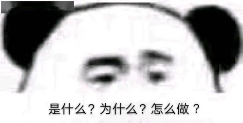 闻信直播租赁之光,共谱未来