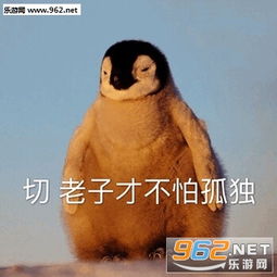 切老子才不怕孤独小企鹅表情包睡了有事托梦小动物表情包下载乐游网游戏下载