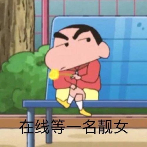 e句话看天下丨卖宠物盲盒的人真是没人性