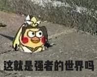 磁场强者表情包