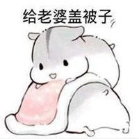哄老婆搞笑表情包微信头像图片大全