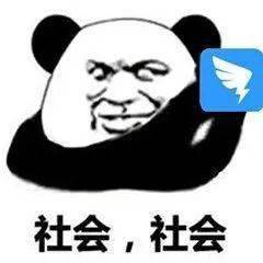 沙雕熊猫头表情包