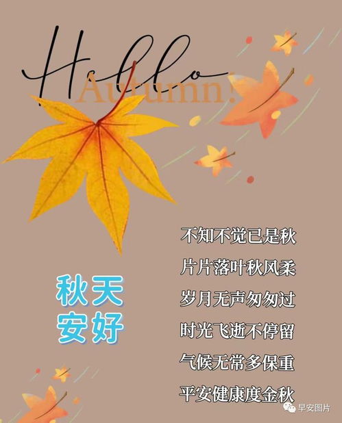 晚上好图片大全,晚上好漂亮表情图片,愿你健康好梦连连