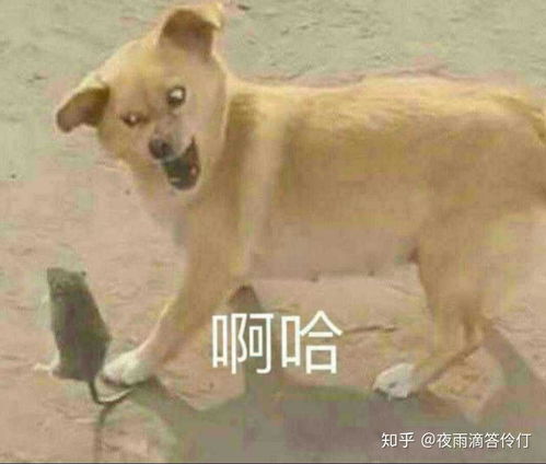 如何快速开心起来