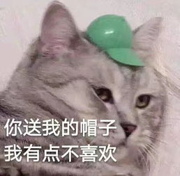 正经幽默段子,配上傻傻憨憨表情包,肚子都笑疼
