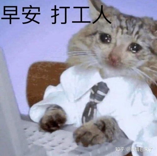 表情包文案搞笑打工