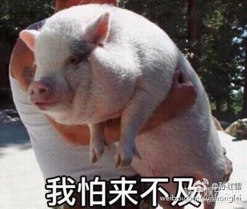 明星好友过生日流行互发黑料了你们这些塑料花友情