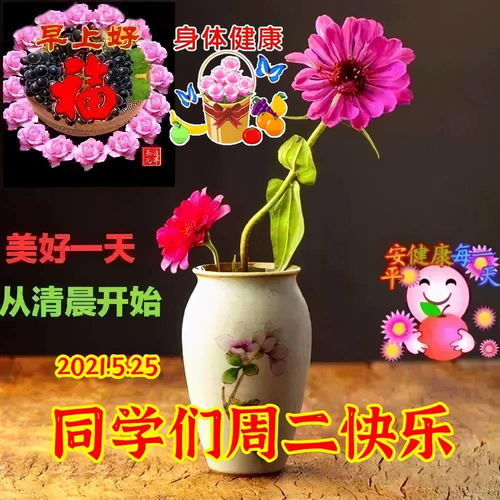 最新老同学早上好表情图片,吃好玩好心情好,笑迎夕阳永不老