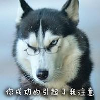 有哪些可爱的表情包