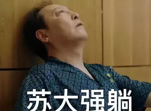 半岛叨叨6年544起759万葛优躺侵权案几乎全胜,苏大强尔康表情包也可能侵权