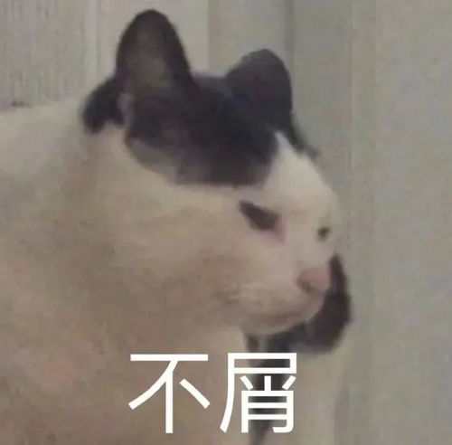 搞笑表情包乖巧宝宝表情包动图0713期
