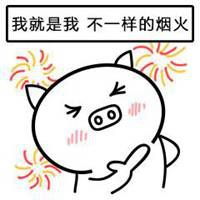 笨猪表情包搞笑图片