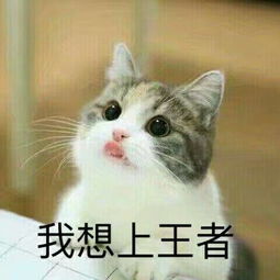 qq表情包下载qq表情包大全腾讯qq表情包当易网