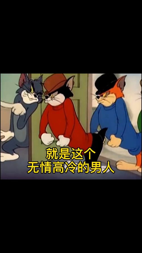 第174集表情包姐妹们给我上表情包搞笑情侣