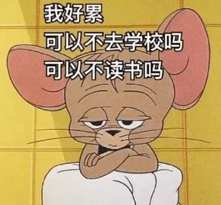 叮咚您的假期余额已不足
