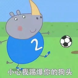 我不知道你在说什么,我只是一只小猪啊