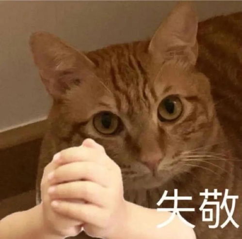 搞笑笑话十条四