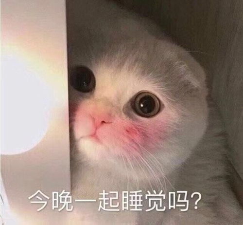 表情包搞笑表情包第三百零五期